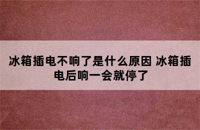 冰箱插电不响了是什么原因 冰箱插电后响一会就停了